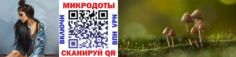 Псилоцибиновые грибы Cubensis  купить  цена  ссылка на мегу вход  Вытегра 